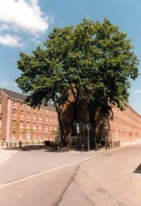 Nettoyage des parcs et rues du quartier Prés-Javais @ Pont Hombiet (près de l’école de devoirs La Page ; petit square au bout de la rue Raymond)